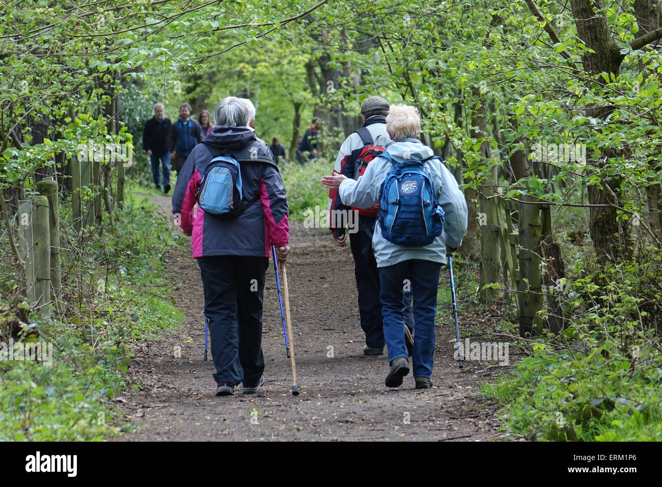 ramblers walking sticks