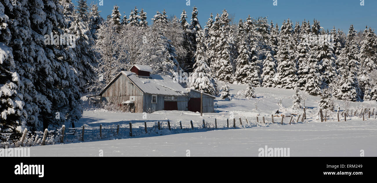 Sugar house in winter; South Stukely, Quebec, Canada Stock Photo Alamy