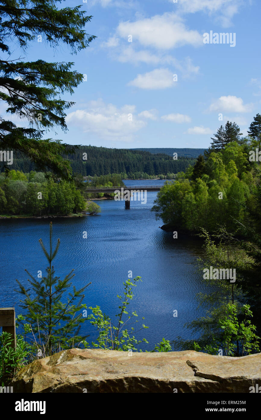 View down Kielder Water from Pattersons Pause on the Lakeside Way. Close to Lewisburn on the south shore. Stock Photo