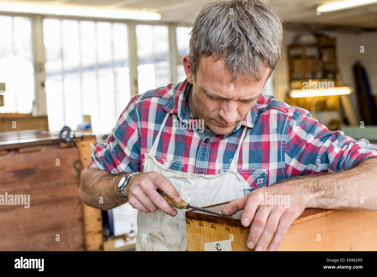 A man in a furniture restoration workshop using a hand tool on a piece of antique furniture. Stock Photo