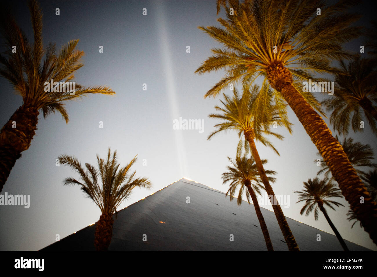 Palm trees and roofline of the Luxor, Las Vegas, Nevada. Stock Photo