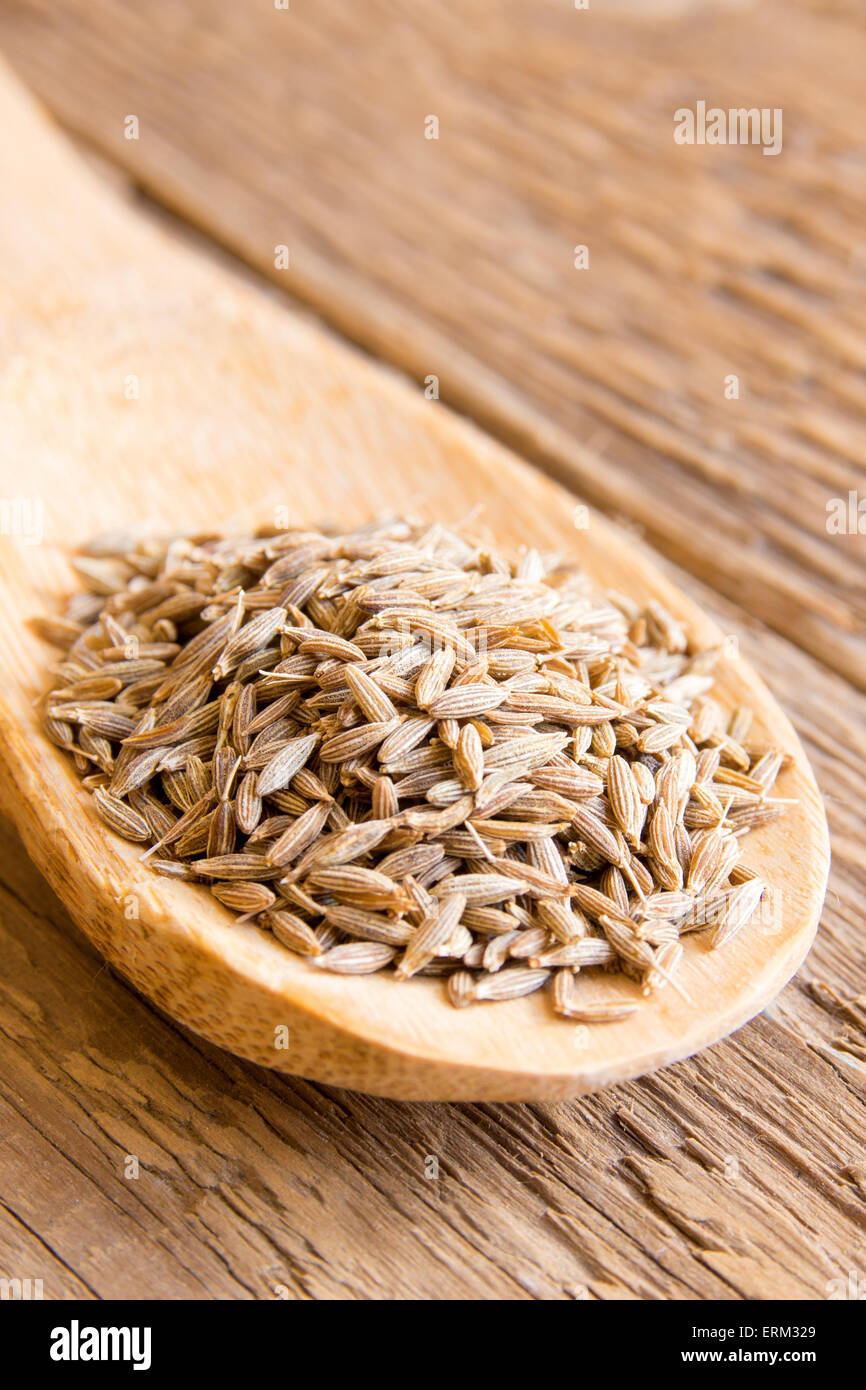 Fennel seed hires stock photography and images Alamy