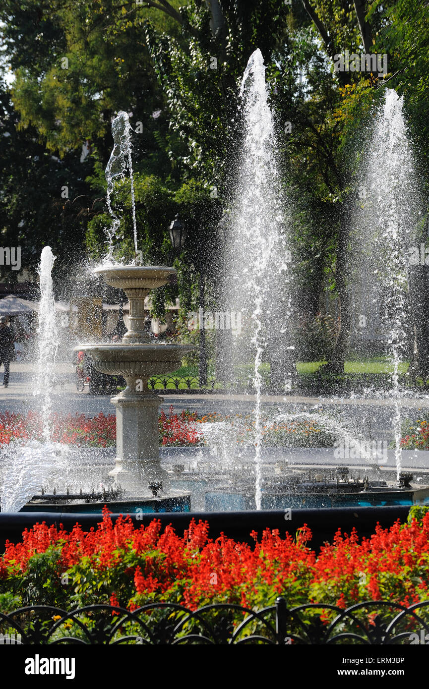 fountain in city park with red flowers Stock Photo - Alamy