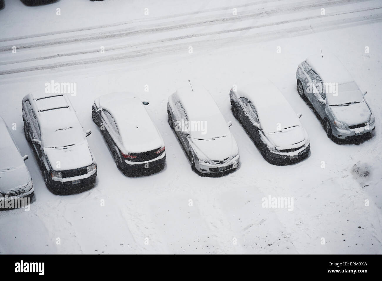 Cars covered in snow in downtown parking lot; Toronto, Ontario, Canada Stock Photo