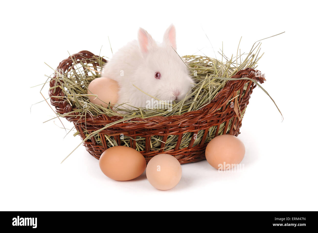 white baby rabbit and eggs in a basket isolated Stock Photo - Alamy