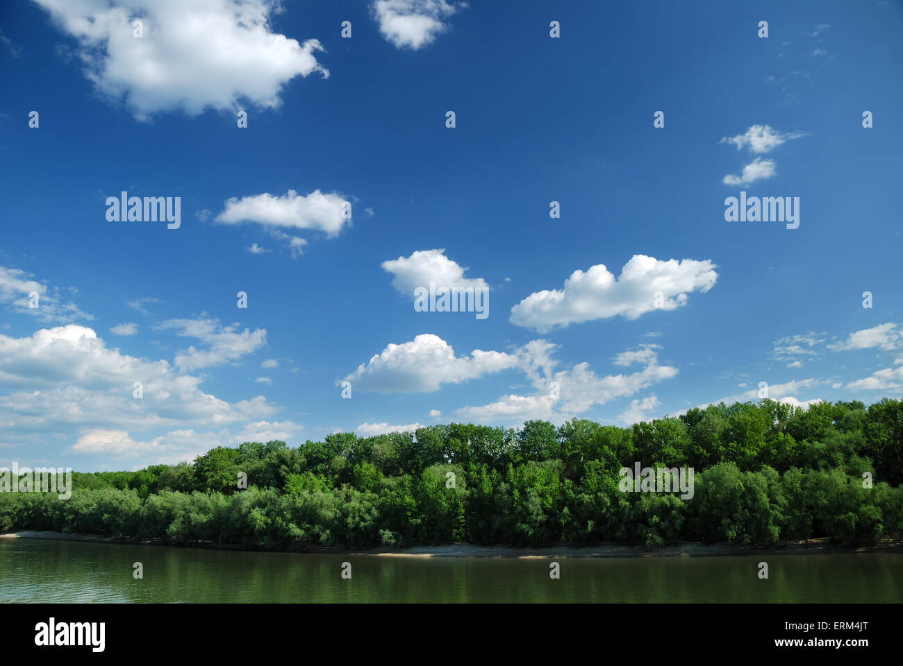 Summer Landscape River Riverside And Trees On Blue Sky Background Stock Photo Alamy