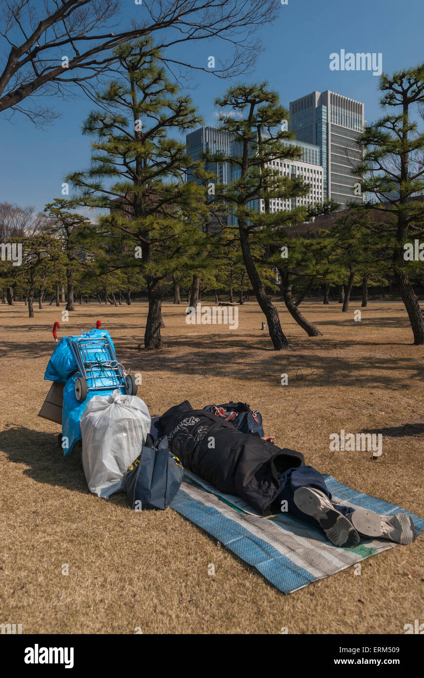Vagrants In A Park In The Nijubashimae District Of Tokyo Japan Stock Photo Alamy