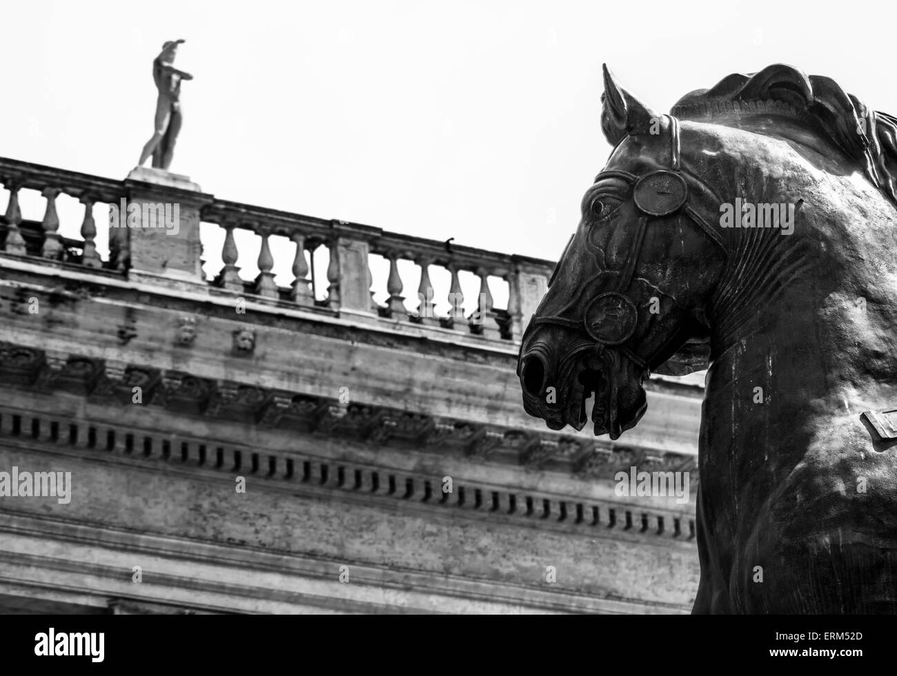 detail of the bronze statue of Marco Aurelio's horse in Campidoglio, Rome Stock Photo