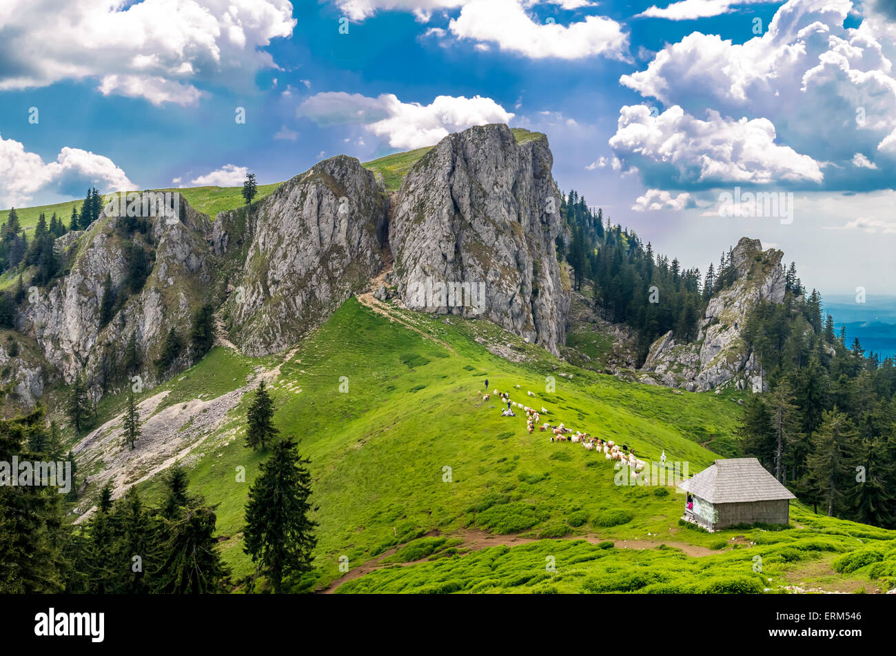 Mountain landscape with sheepfold in Carpathian Mountains, Romania. Flock of goates and sheeps