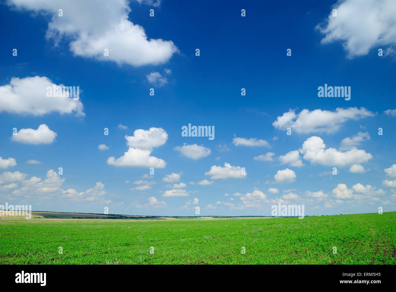 Photo of summer landscape. Cloudy sky and field Stock Photo - Alamy