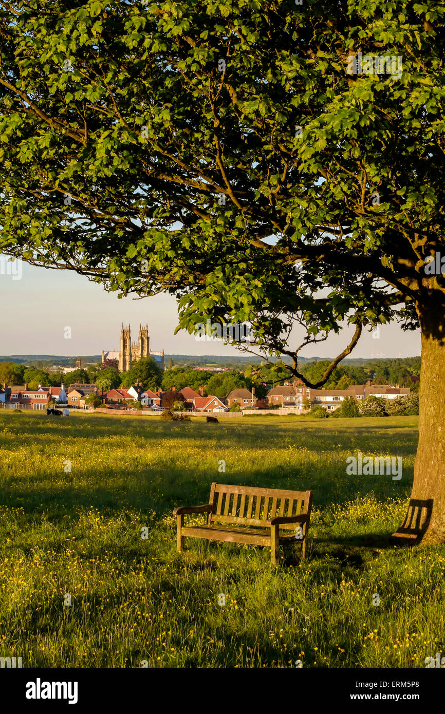 Beverley town & the Minster seem from the Westwood on a June evening. Stock Photo