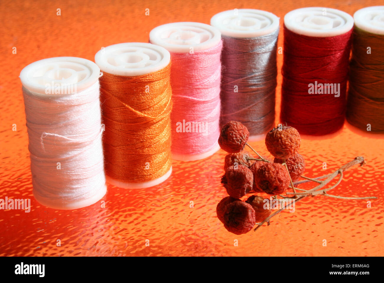 needle and thread Stock Photo Alamy