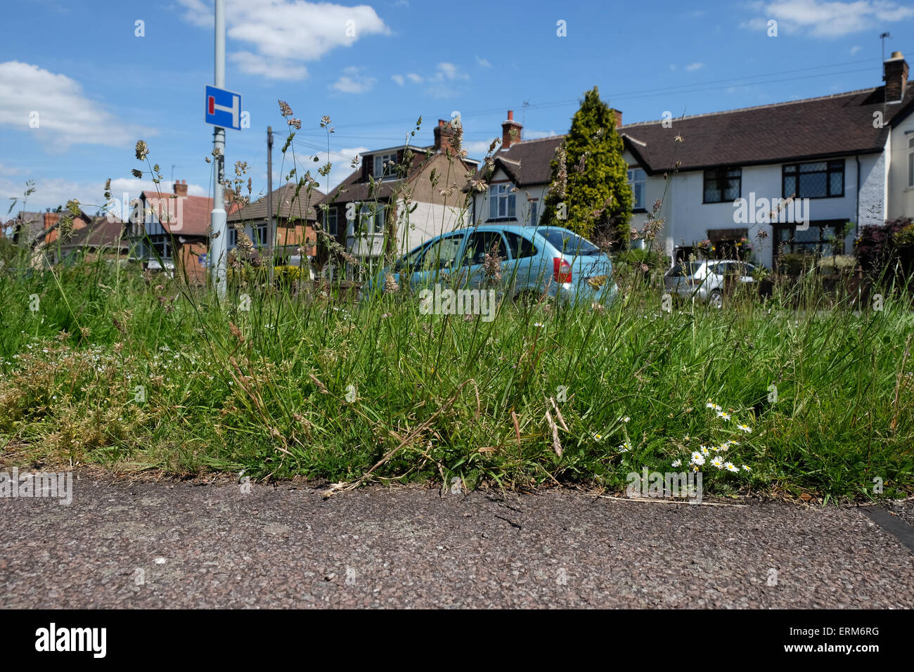 Overgrown Verges High Resolution Stock Photography and Images - Alamy
