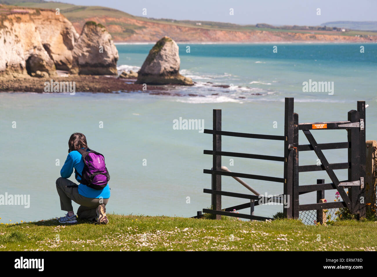 Woman taking a photograph of the landscape at Freshwater Bay, Isle of Wight, Hampshire UK in May - seastacks sea stacks Stock Photo