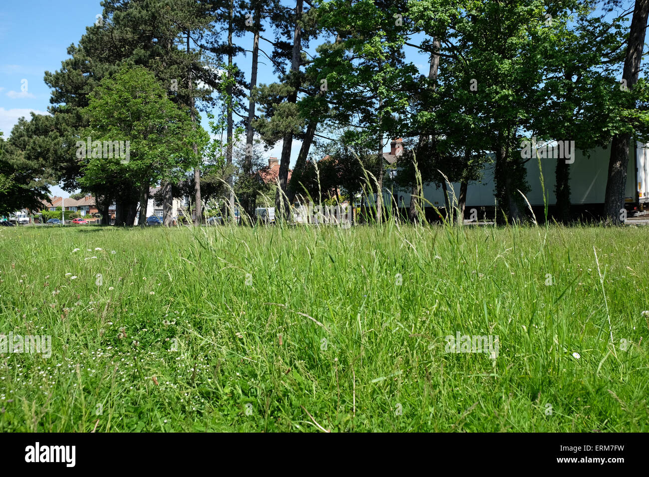 Grass Verges High Resolution Stock Photography and Images - Alamy