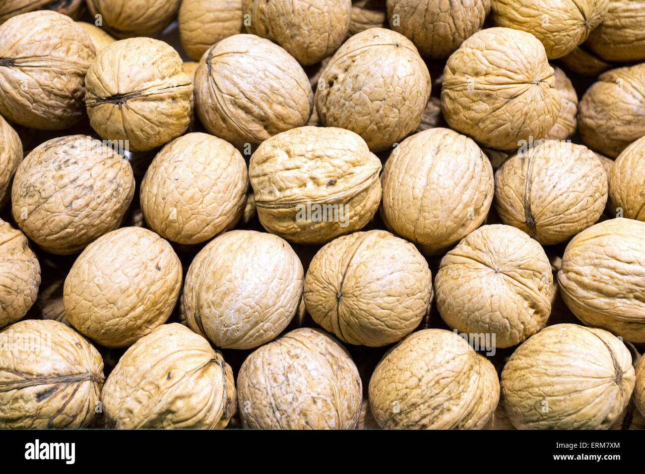 Wallnuts Not Ripe Walnuts from hi-res stock photography and images - Alamy
