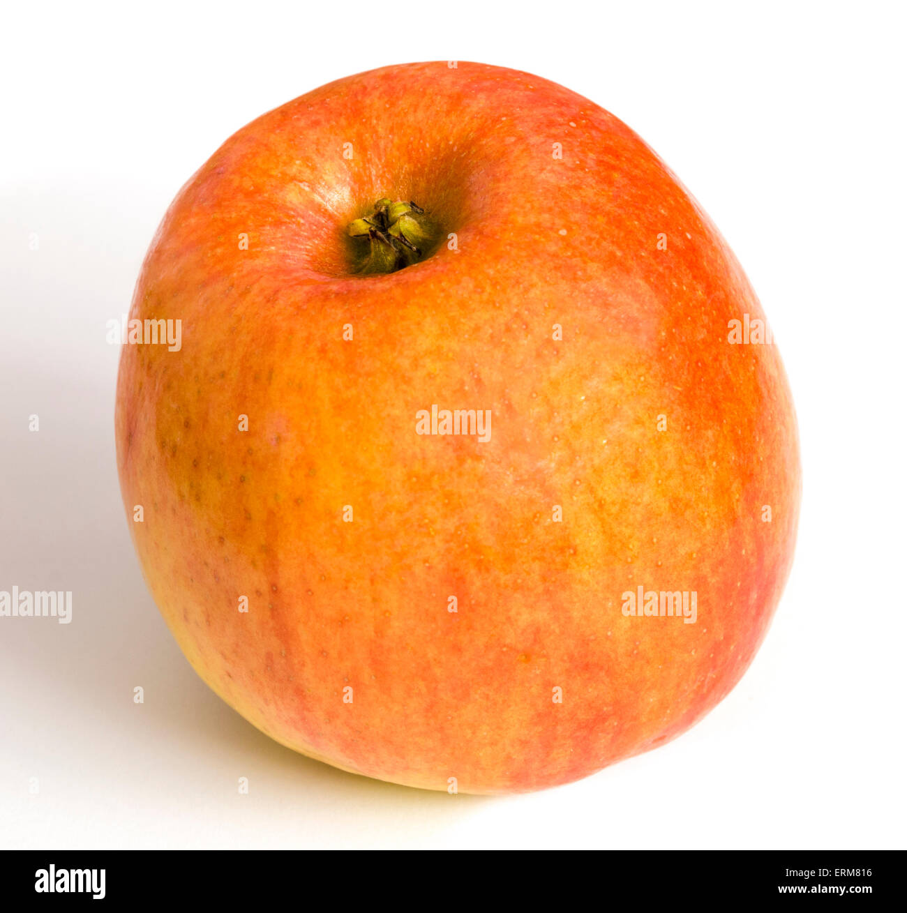 Braeburn apple on a white background Stock Photo Alamy
