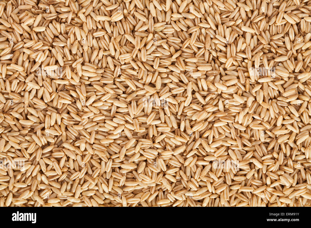 oat seeds texture Stock Photo