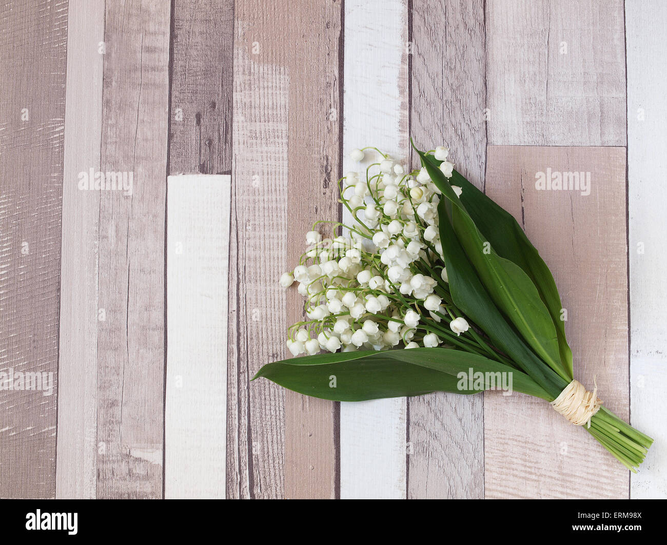 Beautiful lily of the valley flowers Stock Photo - Alamy