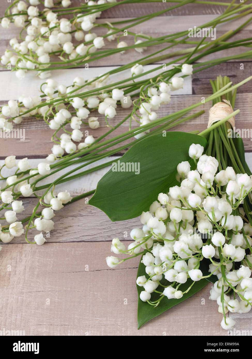 Beautiful lily of the valley flowers Stock Photo - Alamy
