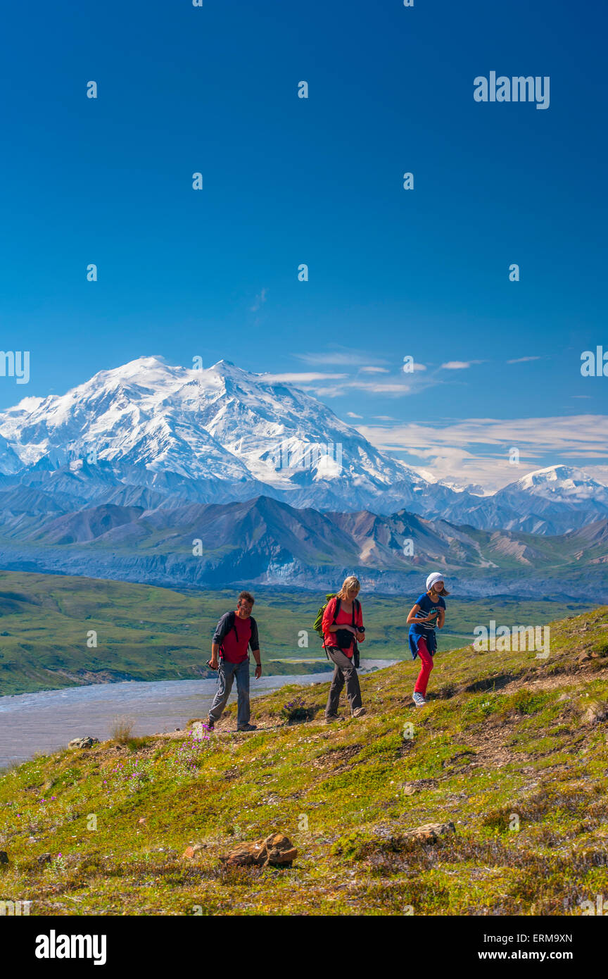 Alaska,Hiking,Denali Np,Mt Mckinley Stock Photo Alamy