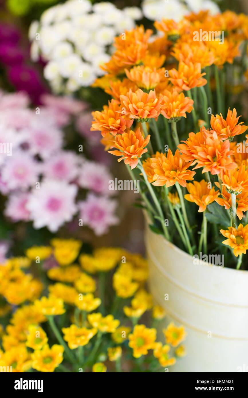 Various flowers for sale Stock Photo