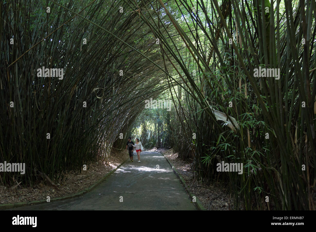 Sao Paulo Brazil 4th June 2015 Visitors Are Seen In A Bamboo