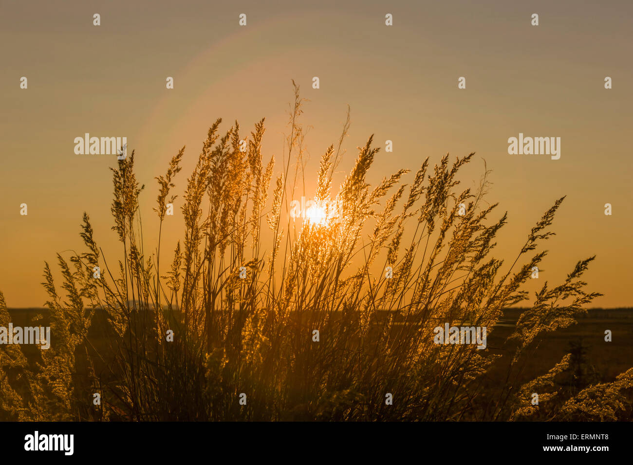 Shungnak hires stock photography and images Alamy