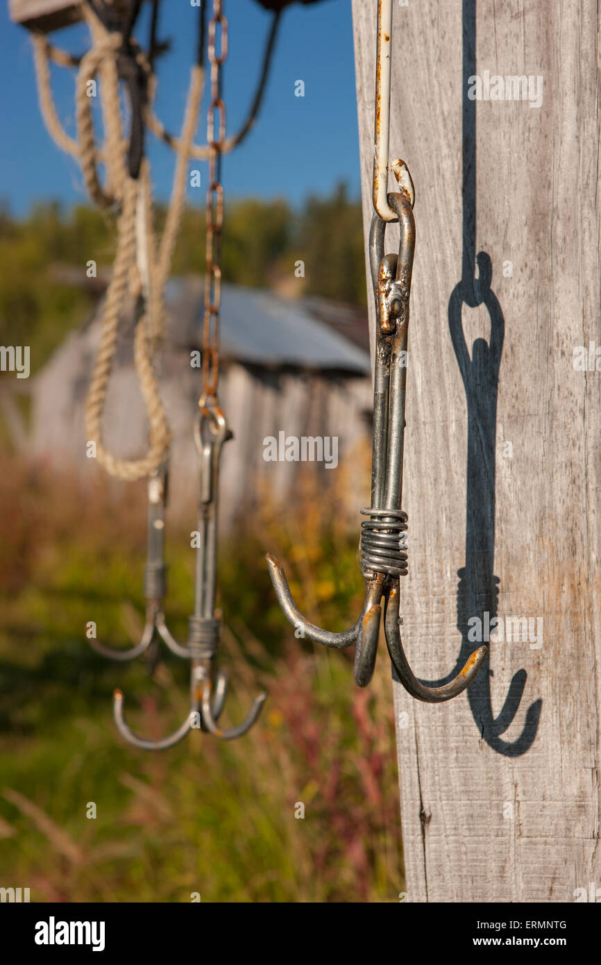 Close up of fishing hooks hanging from a drying shet, Shungnak