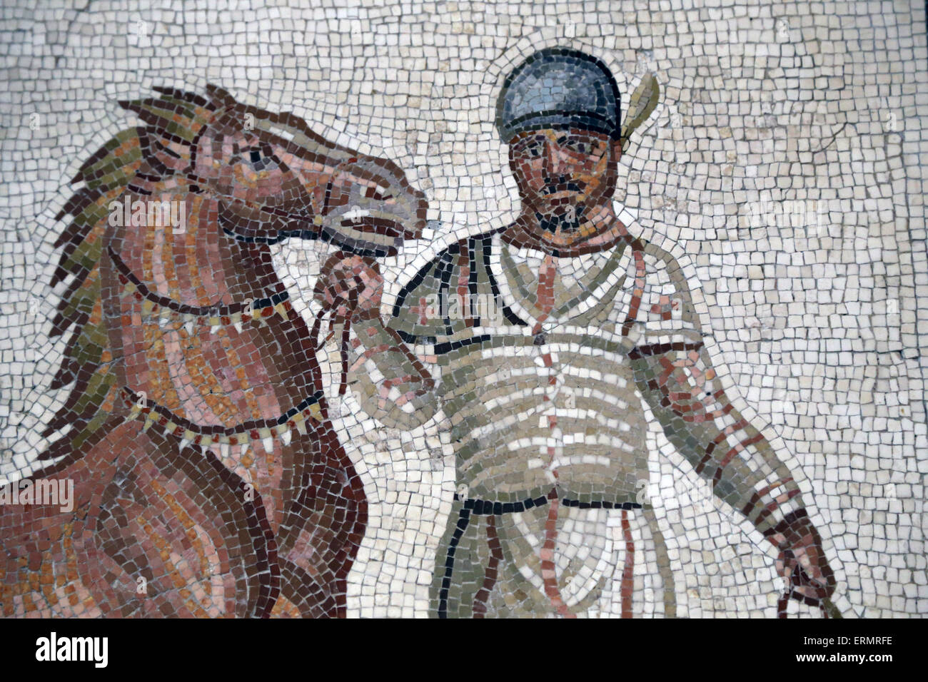 Mosaic depicting a charioteer and horse from the Albata faction (White). 3rd century AD. Rome. National Roman Museum. Rome. Stock Photo