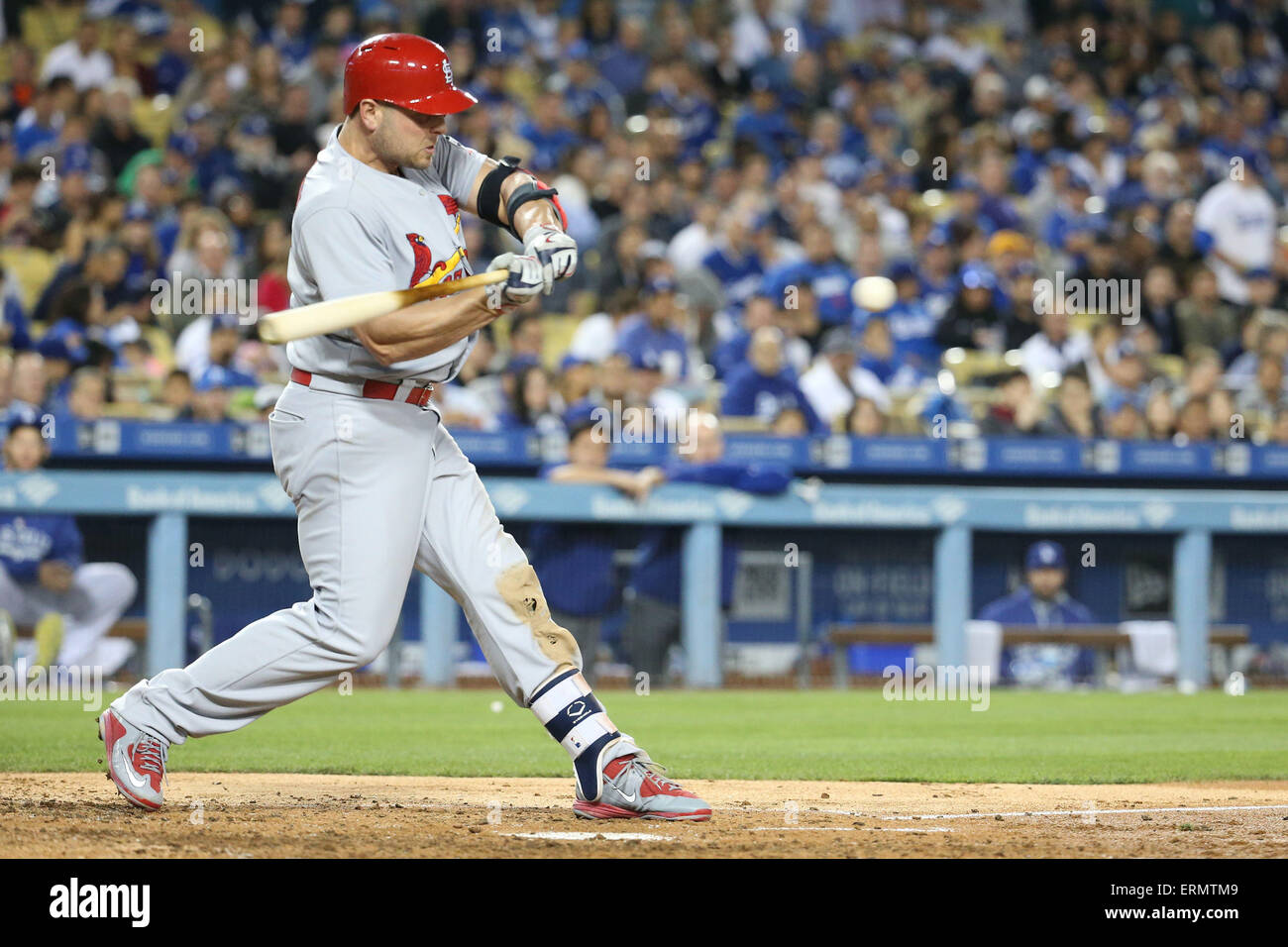 نسبة الحديد في الشمندر St Louis Cardinals Matt Holliday High Resolution Stock Photography ... نسبة الحديد في الشمندر نسبة الحديد في الشمندر St Louis Cardinals Matt Holliday High Resolution Stock Photography ... نسبة الحديد في الشمندر