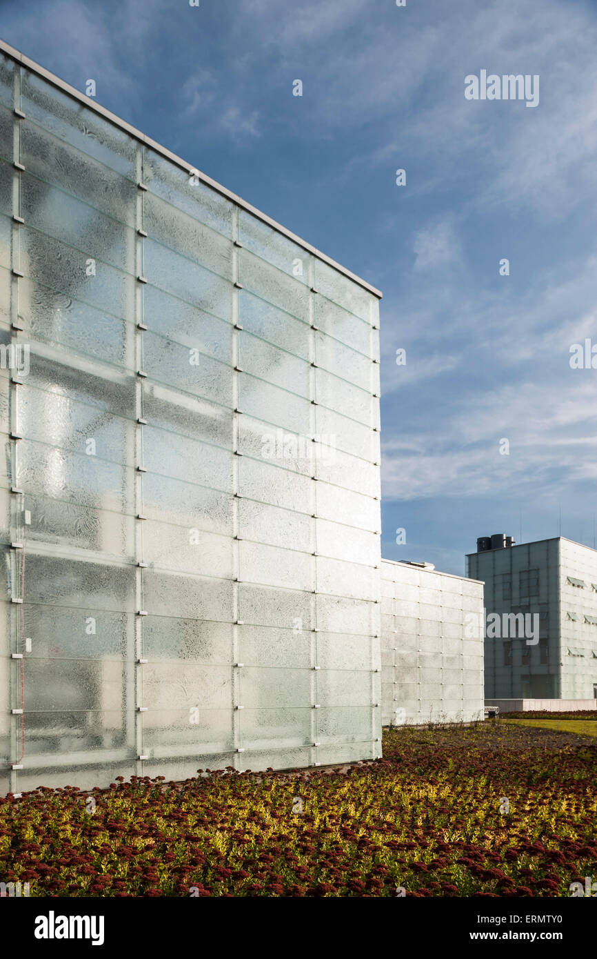 Detail of glass cube. Silesian Museum, Katowice, Poland. Architect: Riegler Riewe Architekten , 2014. Stock Photo