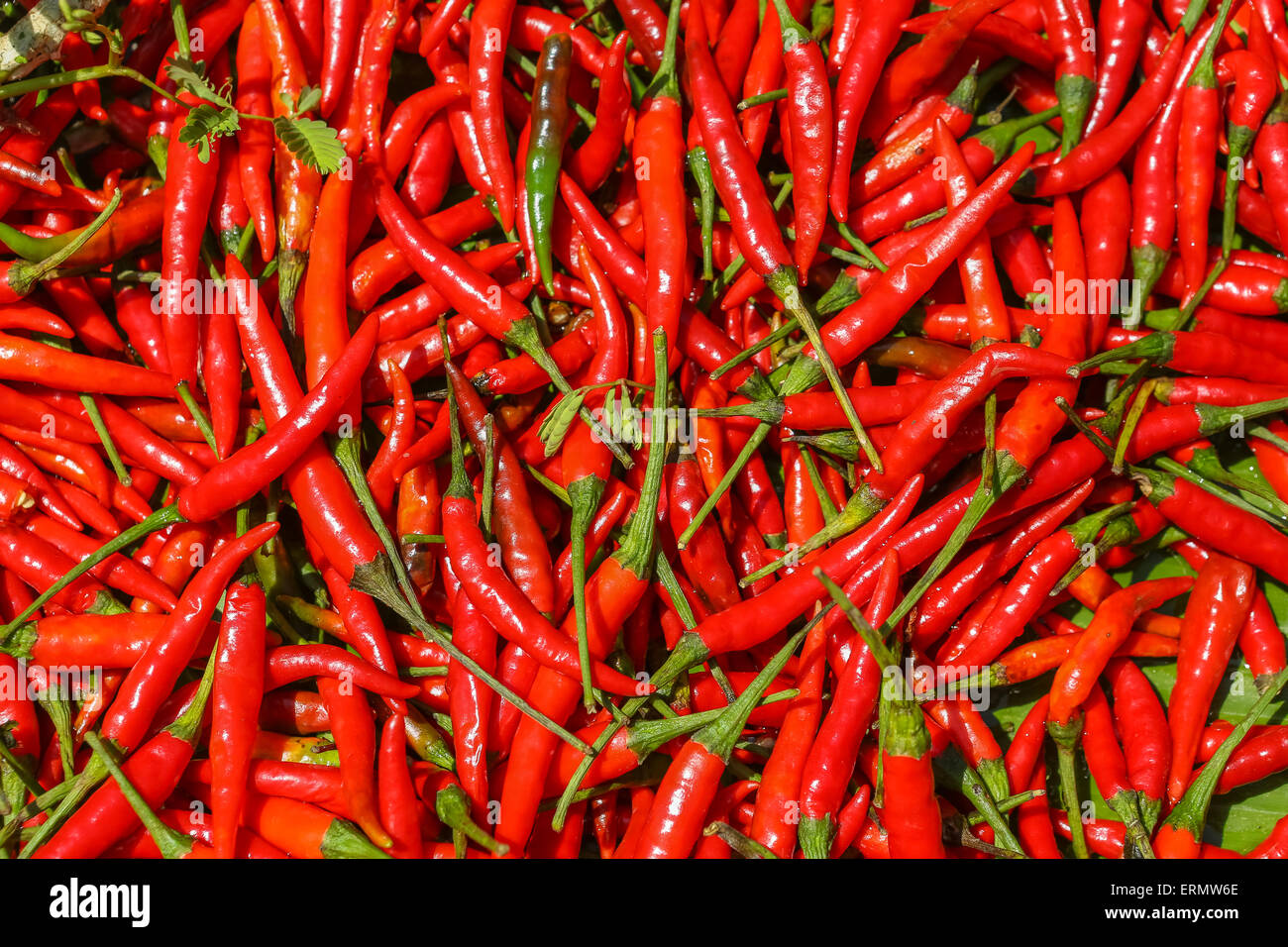 Pfefferoni paprika hi-res stock photography and images - Alamy