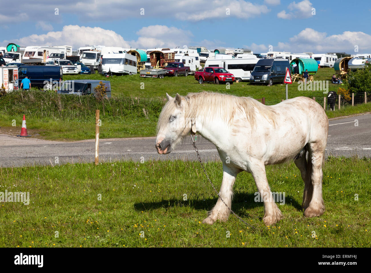 Appleby-in-Westmorland, U.K. 4th June 2015. Gypsies camp at the Appleby Horse Fair. The fair has existed since 1685 under the protection of a charter granted by King James II. Starting the first Thursday in June and running for a week the fair is visited by Romany Gypsies, Horse Dealers and Travellers from across Europe. Credit:  Mark Richardson/Alamy Live News Stock Photo