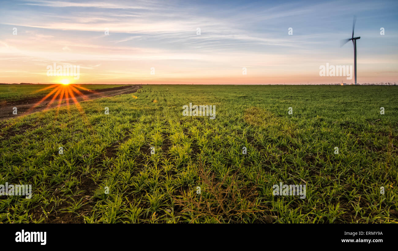 Wind turbine at sunset on green field and clouds blue sky Stock Photo ...