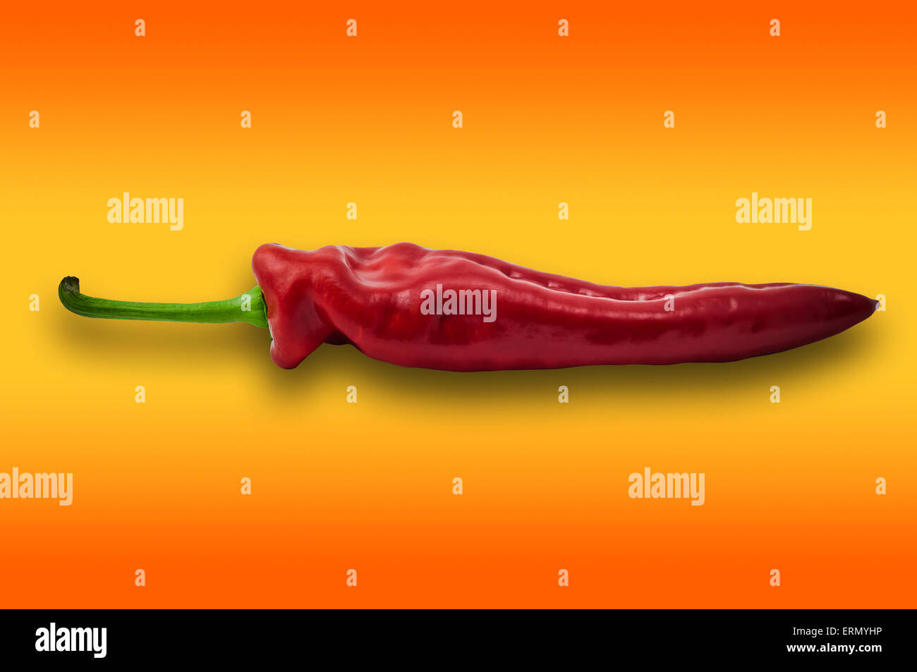 Single red paprika sweet pepper orange background clipping path Stock Photo