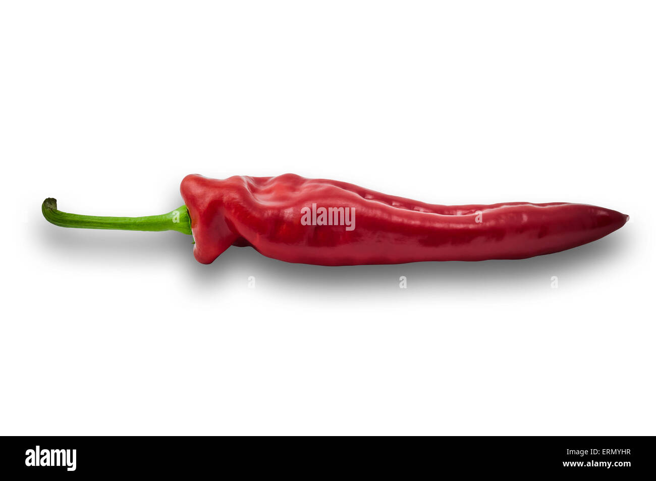 Single red paprika sweet pepper in white background clipping path Stock Photo