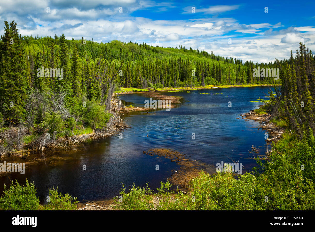 Copper River Valley; Alaska, United States of America Stock Photo Alamy