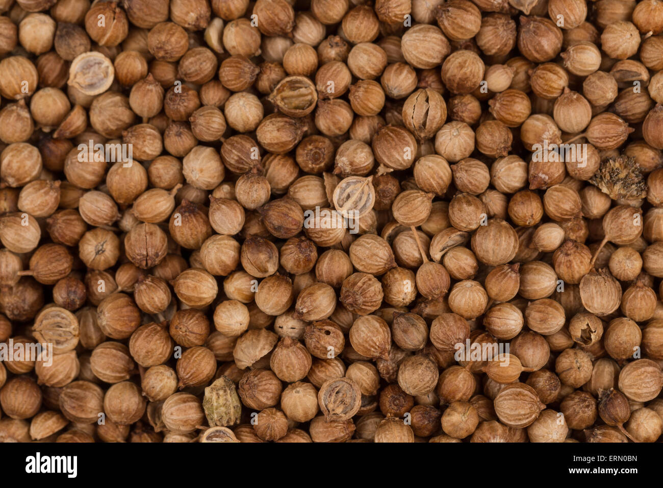 Close up of dried coriander seeds in a bowl Stock Photo Alamy