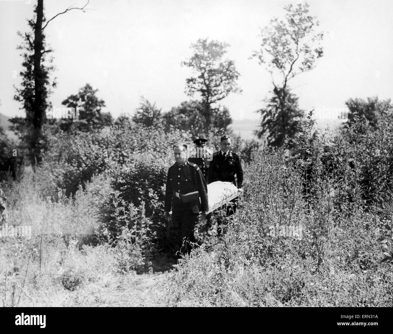 Sheila Martin murder, eleven year old Sheila Martin found murdered in a copse at Fawkham, Kent. St. John's Ambulance removing the body of Sheila Martin after Dr. Keith Simpson had made his examination, 10th July 1946. Stock Photo