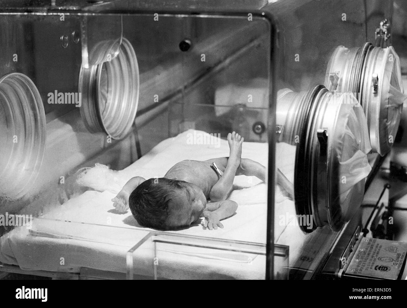 1950s incubator Black and White Stock Photos & Images Alamy
