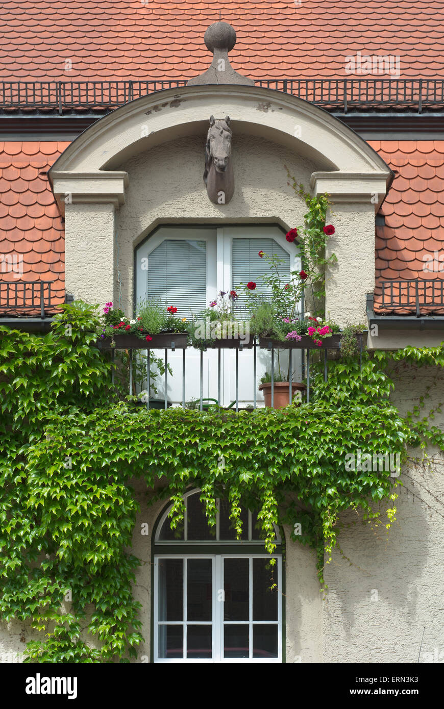 Climbing Vines of Ivy on a House with Horse Head and Flowers Stock Photo