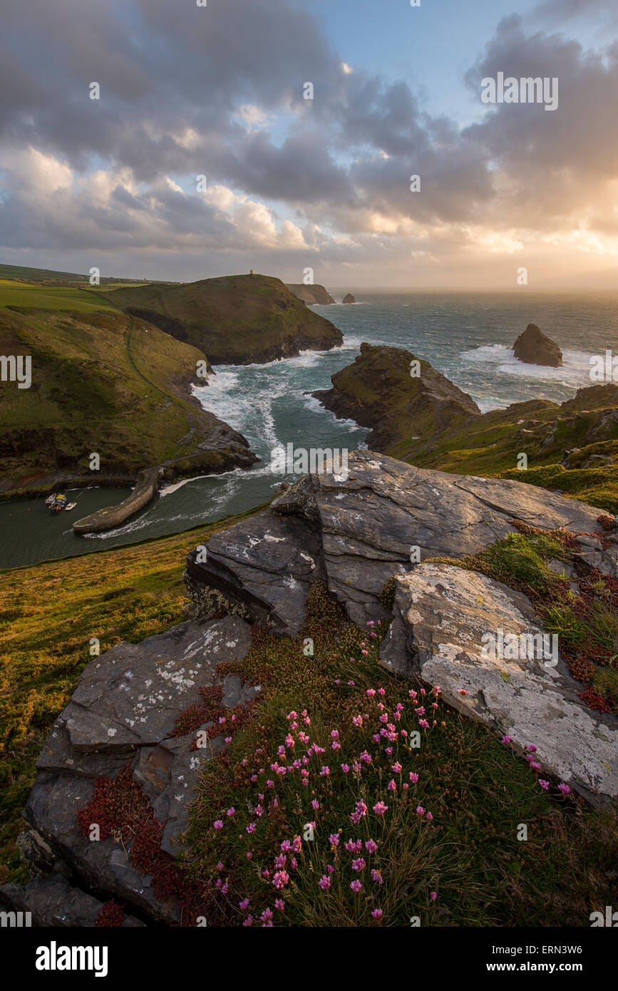 Boscastle Harbour in Cornwall from Penally Hill. Stock Photo