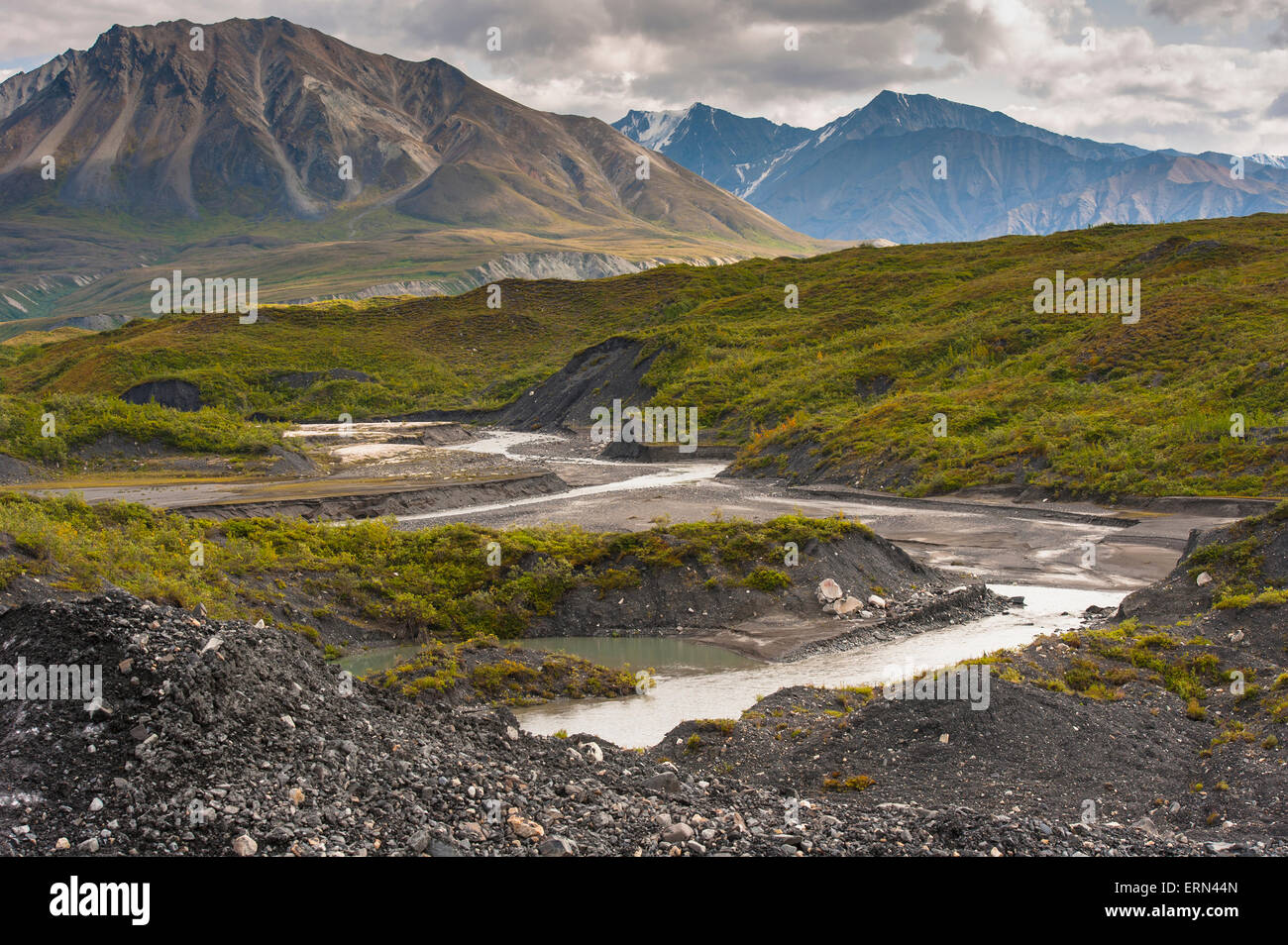 USA,Denali,Alaska Range,Muldrow Glacier Stock Photo Alamy