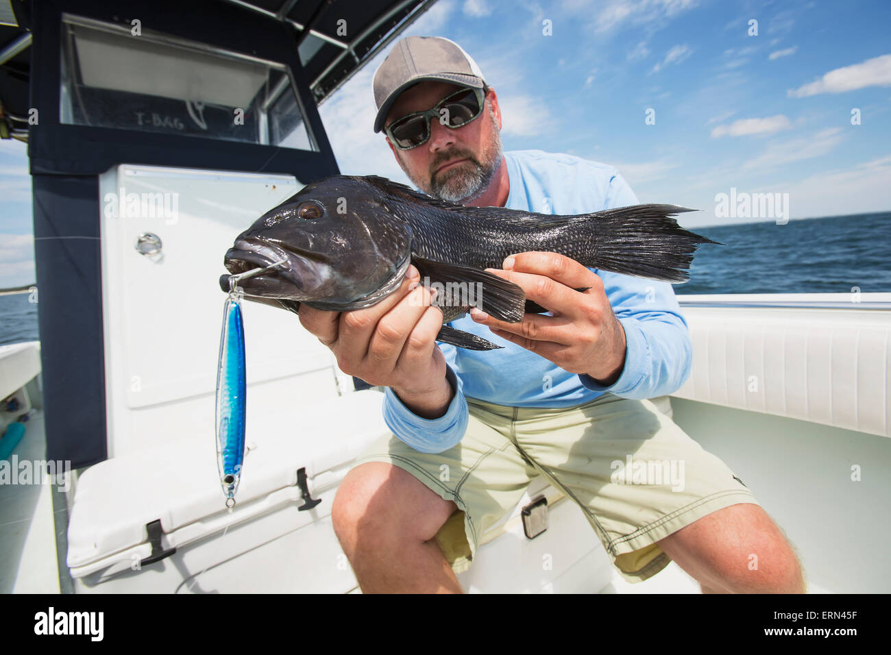Black sea bass caught off the coast of Martha's Vineyard; Massachusetts