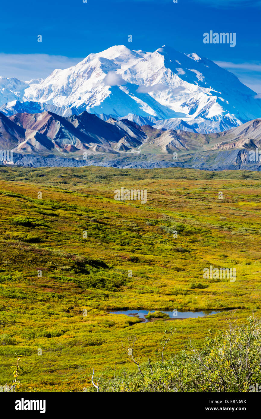Muldrow Glacier,Alaska,Denali Np,Mt Mckinley Stock Photo Alamy