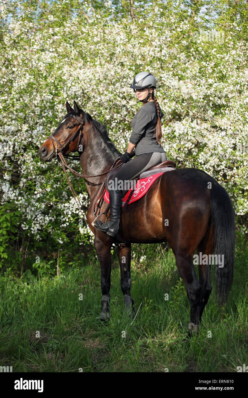 Girl with bay riding horse in a lush garden Stock Photo