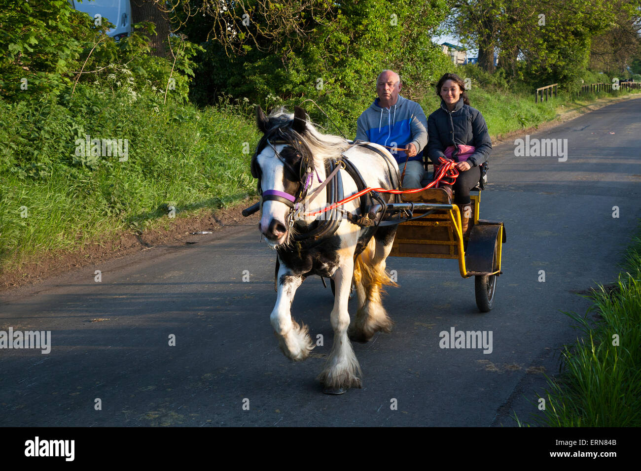 Appleby, Cumbria, Uk. 5th June, 2015.  Early morning horse carriage ride at the Appleby Horse Fair in Cumbria.  The Fair is an annual gathering of Gypsies and Travellers which takes place on the first week in June, and has taken place since the reign of James II, who granted a Royal charter in 1685 allowing a horse fair 'near to the River Eden', and is the largest gathering of its kind in Europe. Stock Photo