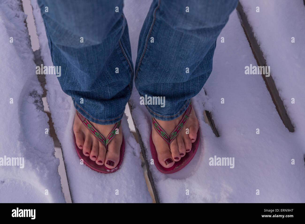 Woman's feet standing in the snow wearing flip flops; Churchill, Manitoba,  Canada Stock Photo - Alamy