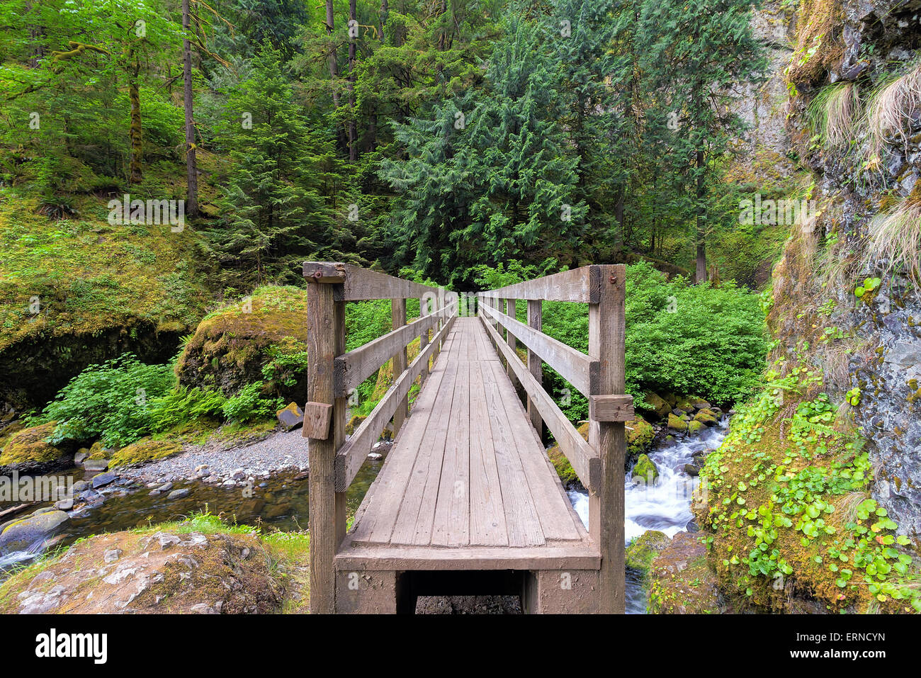 Wooden Foot Bridge Over Creek in Wahclella Falls Trail in Columbia River Gorge Oregon Stock Photo